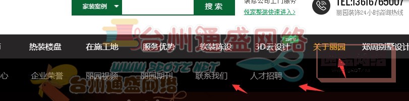 臺州裝修裝飾公司網(wǎng)站降權(quán)案例分析 圖三