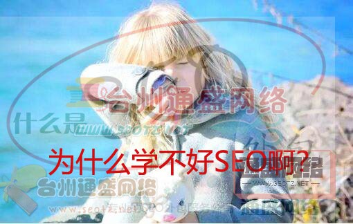 為什么學不好SEO?